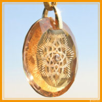 Seminario: El Ascenso a la Conciencia de la Luz Solar